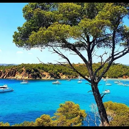 Pieds Dans L'eau Vue Les Mimosas * Bormes-les-Mimosas