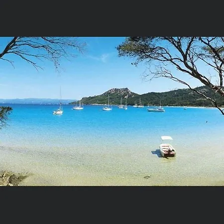 Apartment Pieds Dans L'eau Vue Les Mimosas *
