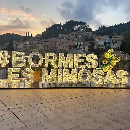 Pieds Dans L'eau Vue Les Mimosas 아파트 *