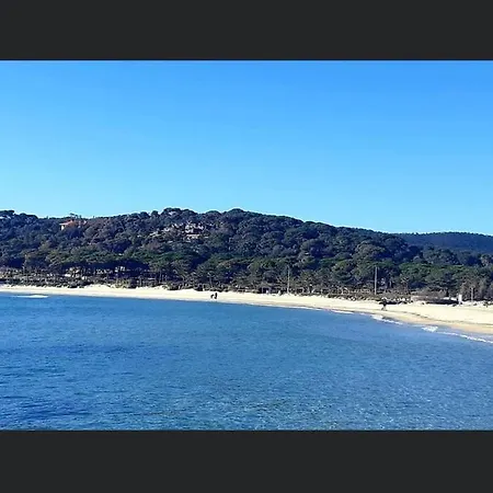 Pieds Dans L'eau Vue Les Mimosas Apartamento *