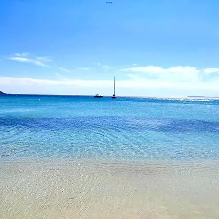 Pieds Dans L'eau Vue Les Mimosas