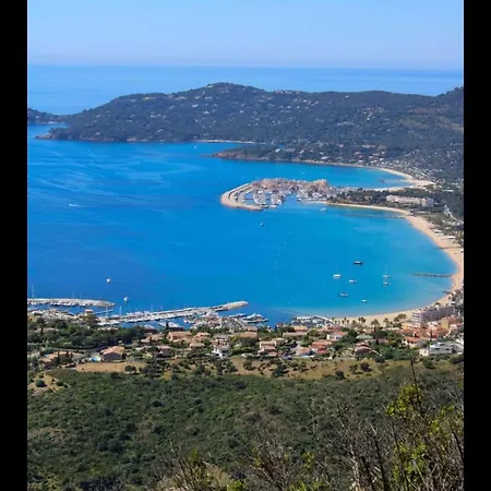 Pieds Dans L'eau Vue Les Mimosas Lejlighed Bormes-les-Mimosas