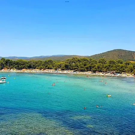 Pieds Dans L'eau Vue Les Mimosas 아파트