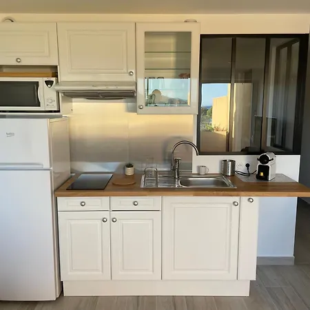 Pieds Dans L'eau Vue Les Mimosas Apartment *