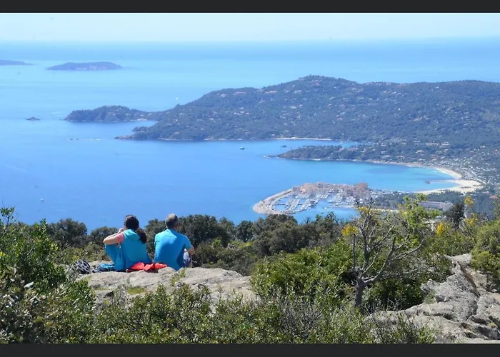 Pieds Dans L'eau Vue Les Mimosas 아파트 봄레미모사