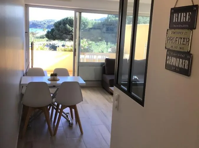 Pieds Dans L'eau Vue Les Mimosas *