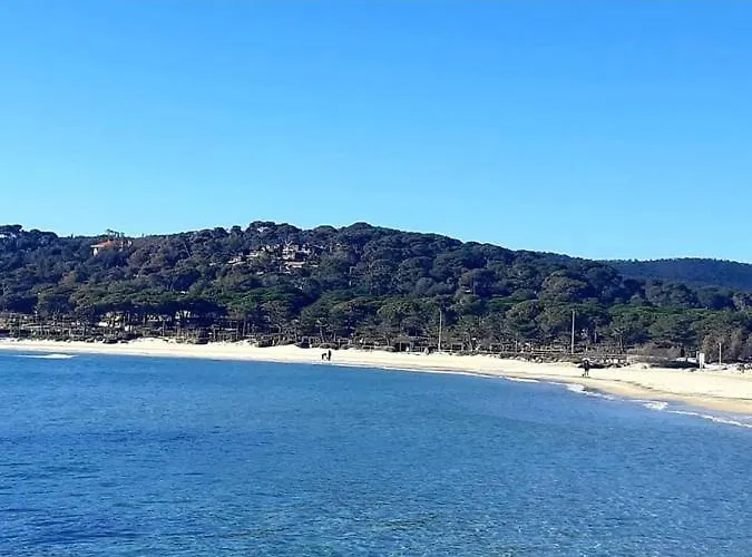 Pieds Dans L'eau Vue Les Mimosas 아파트 *