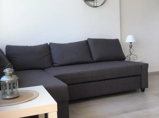 Pieds Dans L'eau Vue Les Mimosas * 봄레미모사