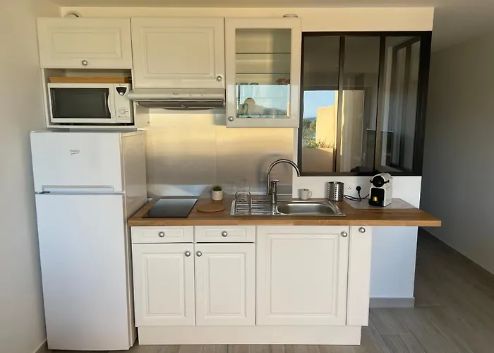 Pieds Dans L'eau Vue Les Mimosas 봄레미모사