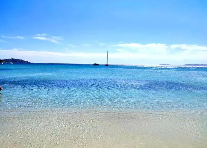 Pieds Dans L'eau Vue Les Mimosas