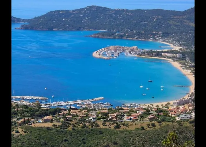 Pieds Dans L'eau Vue Les Mimosas 아파트 봄레미모사