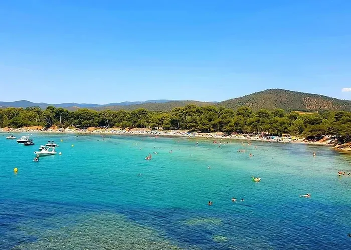 Pieds Dans L'eau Vue Les Mimosas 아파트